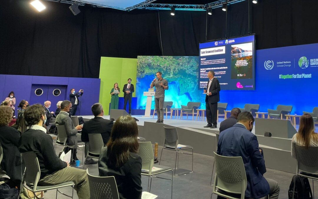 COP26: positioning seaweed as a powerful ocean-based climate solution