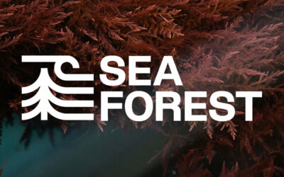 Our members from Sea Forest are looking for an experienced COO to join their fast growing team