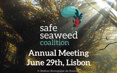 Safe Seaweed Coalition Annual Meeting & Seaweed Day, June 29th in Lisbon