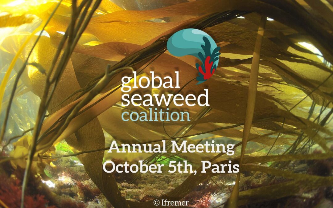 Global Seaweed Coalition Annual Meeting: 5 October 2023 in Paris